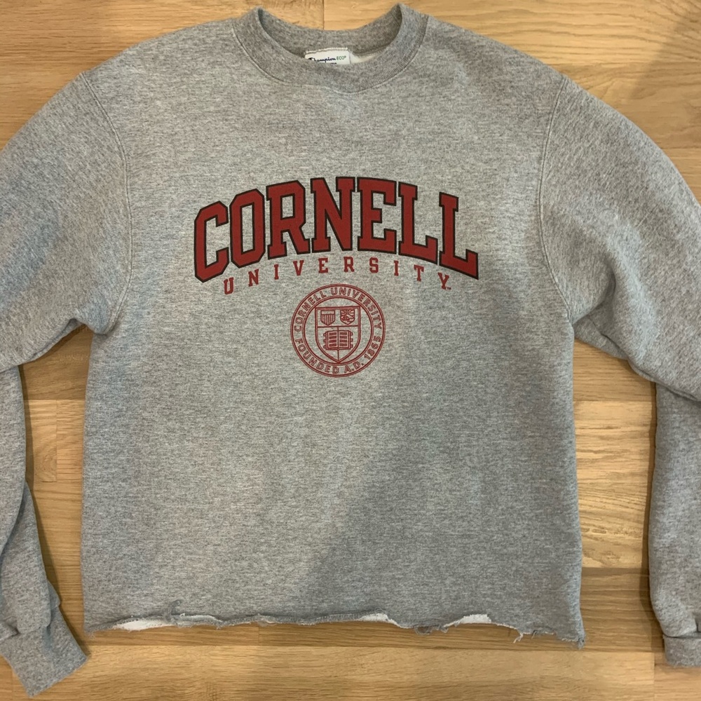 cropped cornell sweatshirt